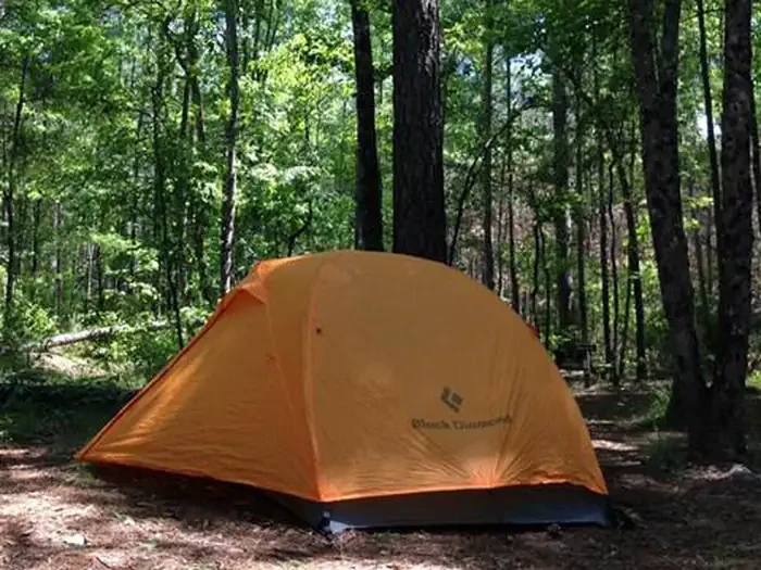 Longleaf Campground