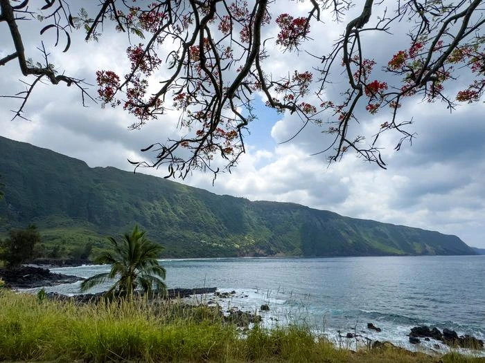 Kalaupapa National Historical Park Tours