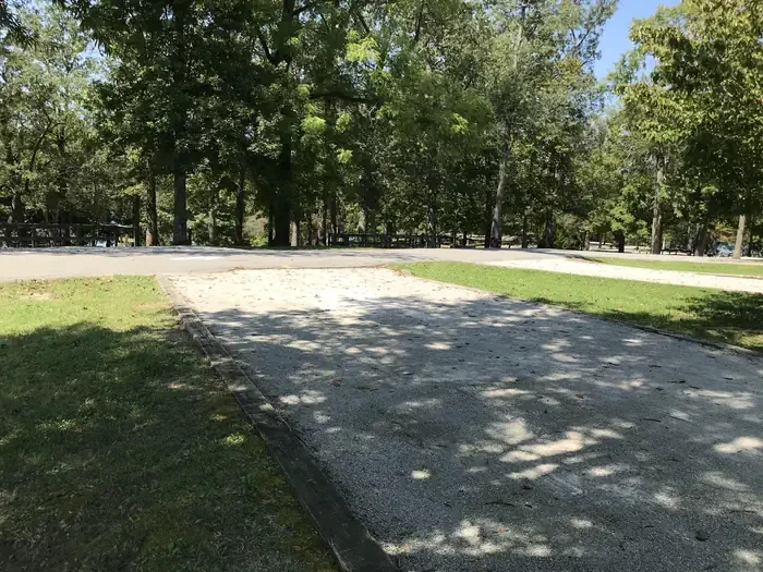 82