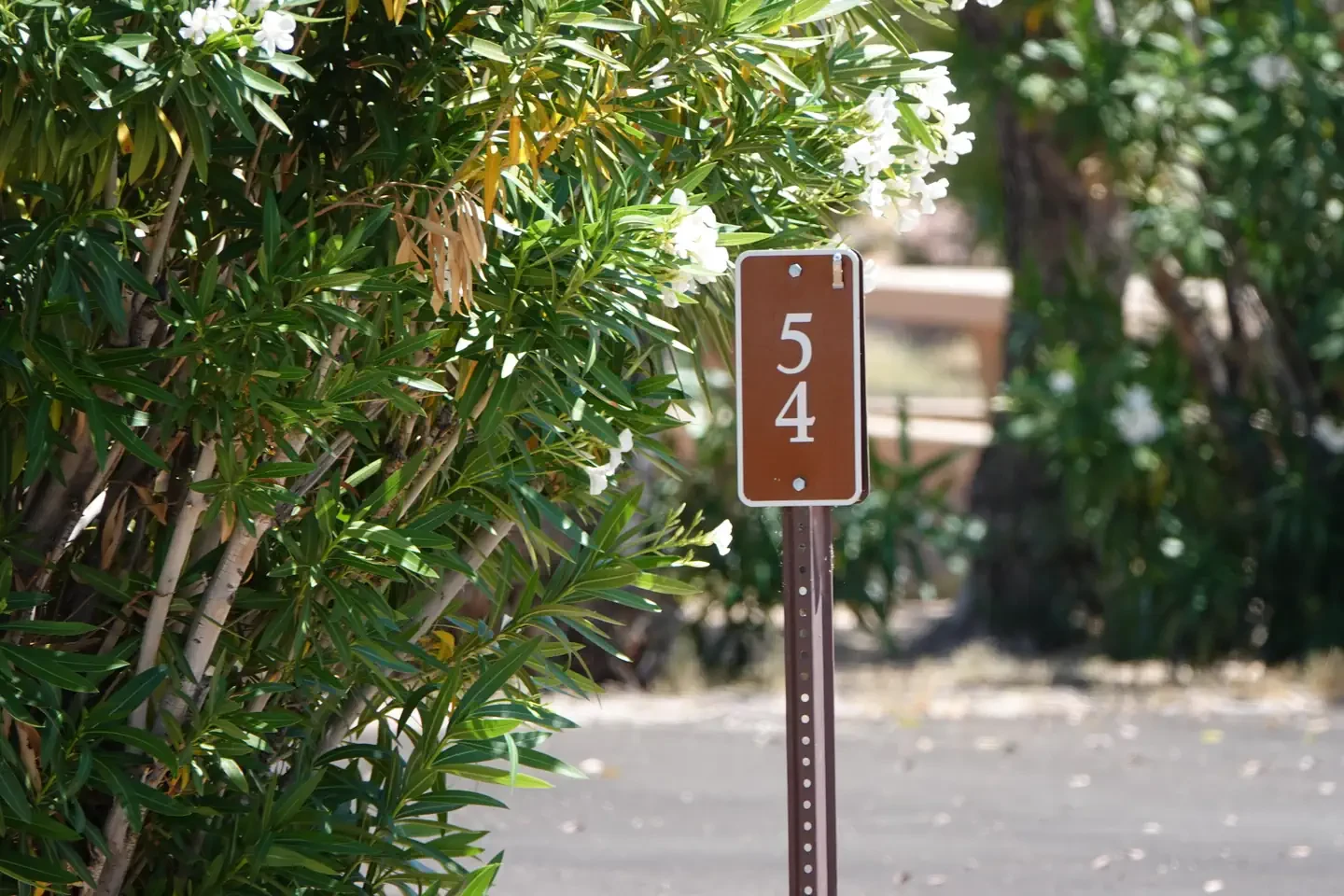 Site 54