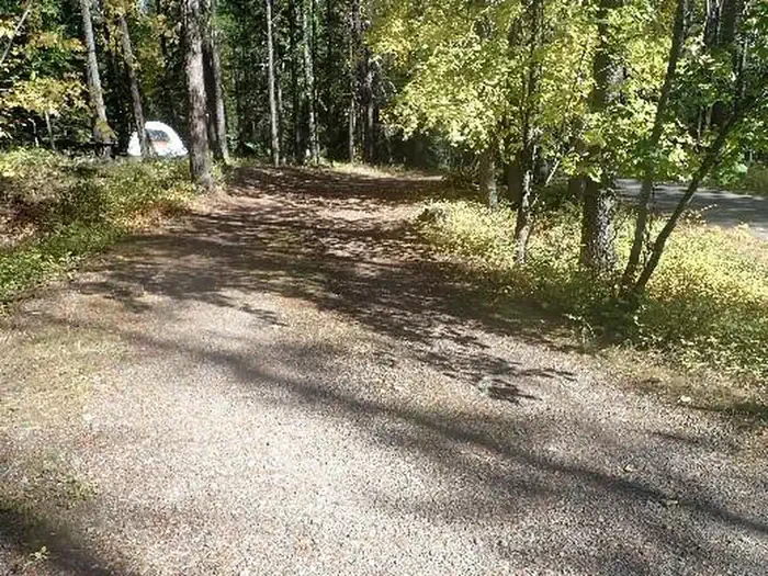A15