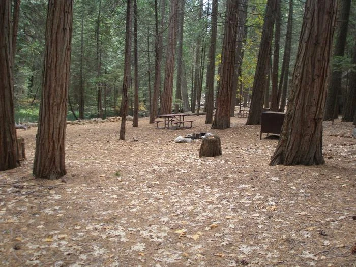 Site: 89