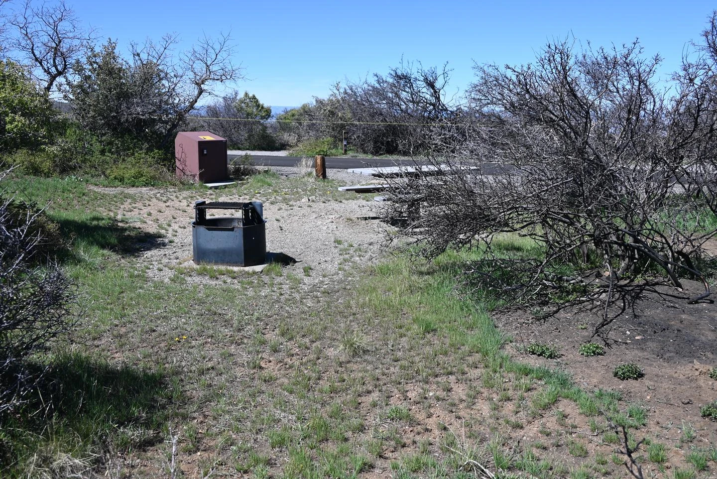 A015