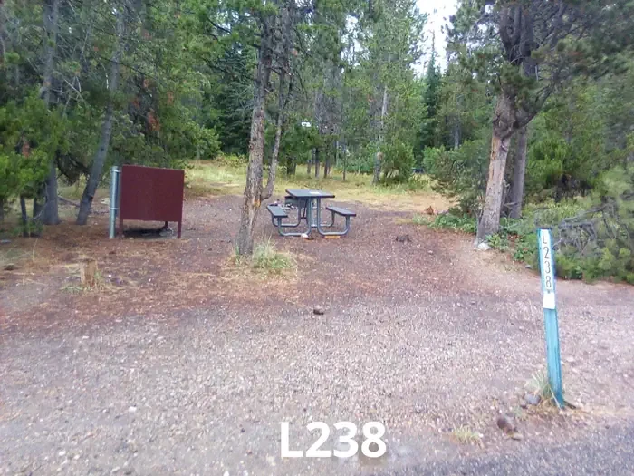 238