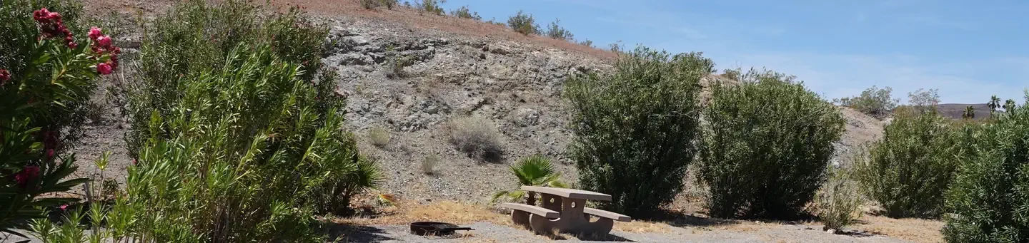 Site 9