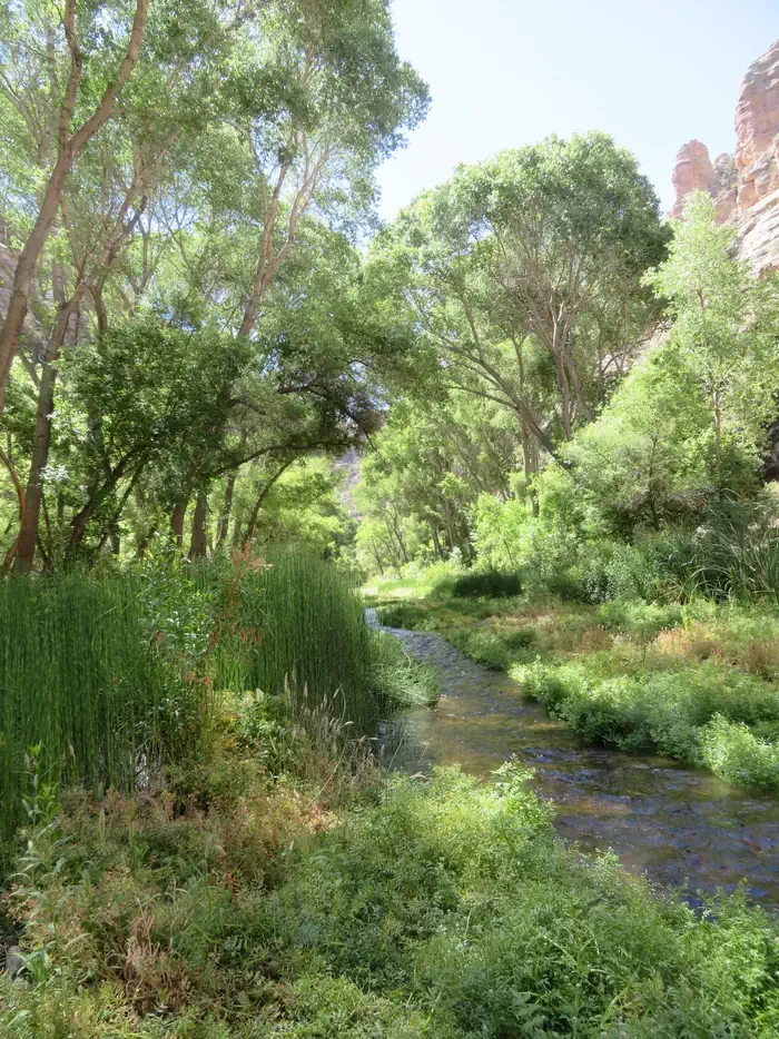 Aravaipa Canyon Wilderness Permits
