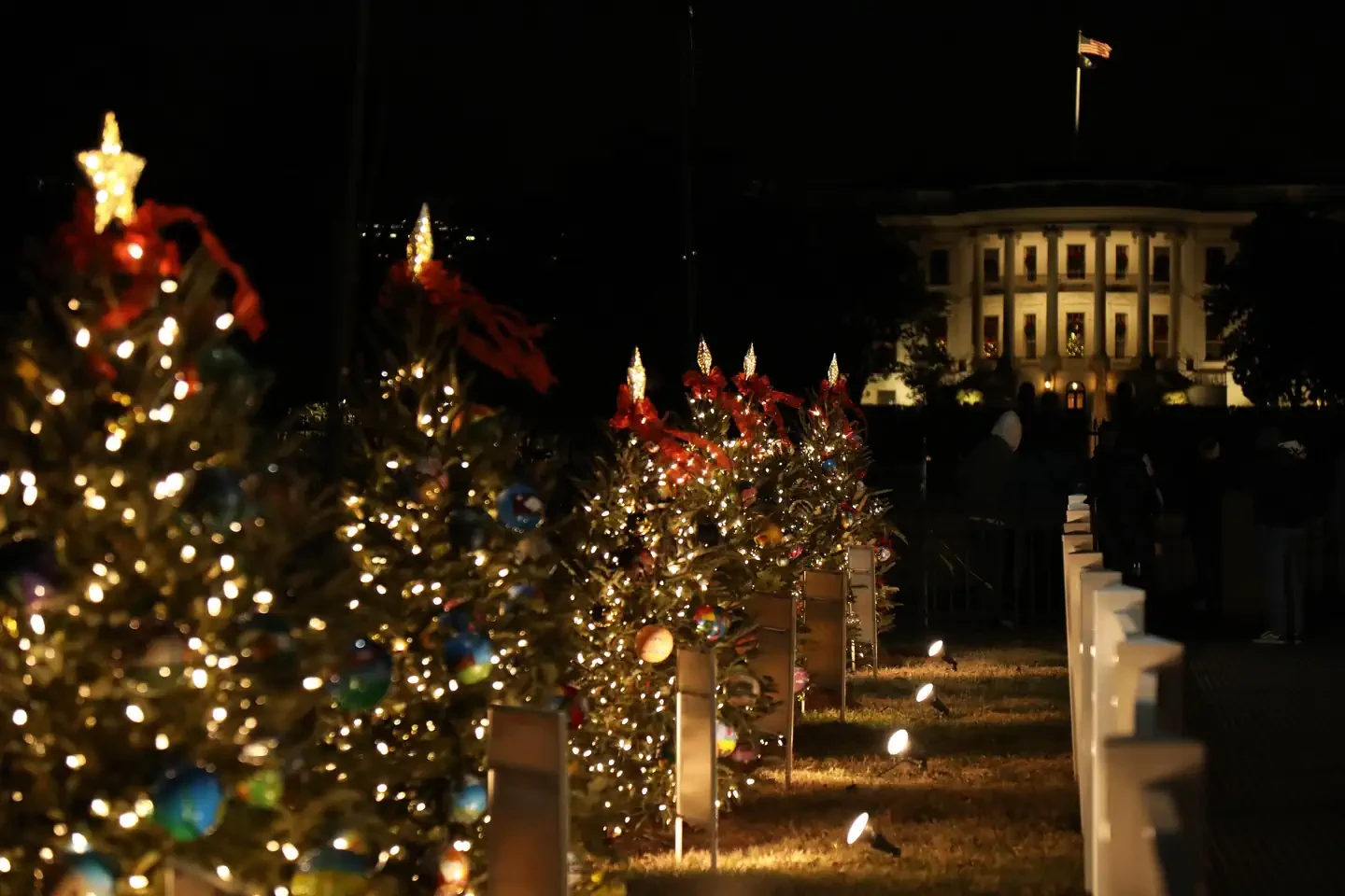 The National Christmas Tree Lighting Opening Ceremony