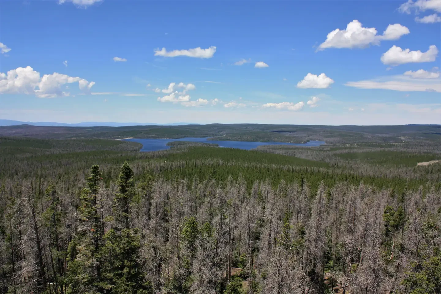 Spruce Mtn Fire Lookout Tower