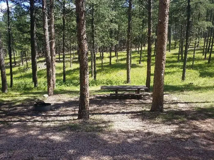 031