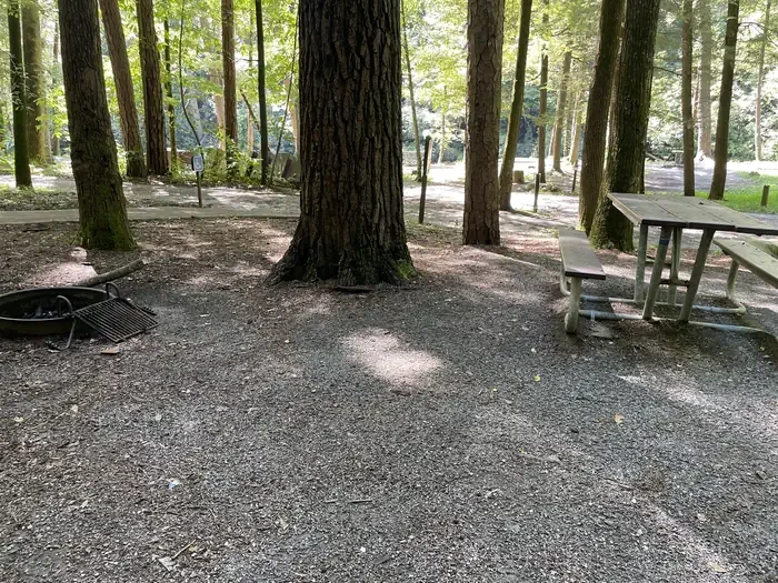 A13