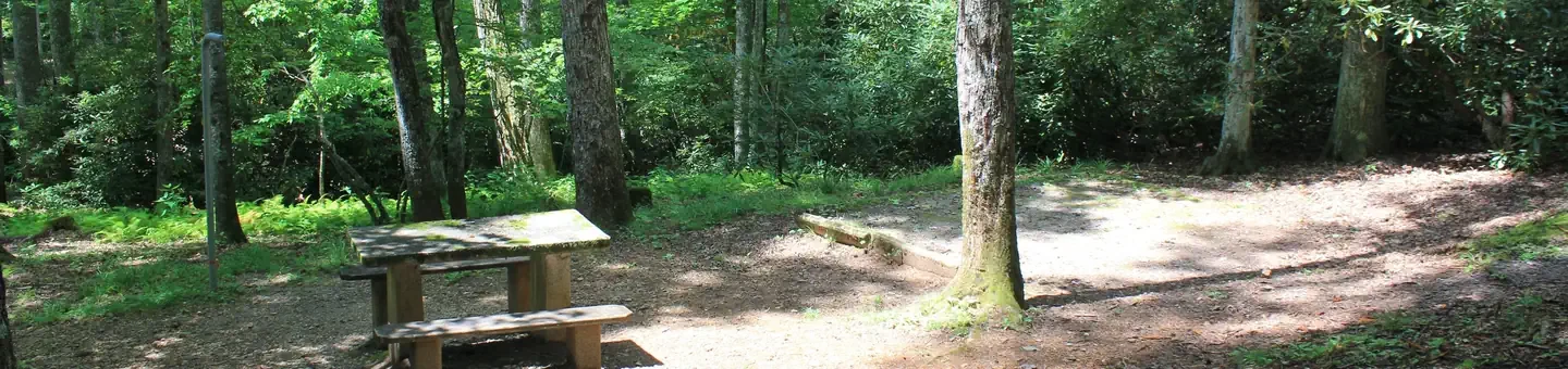 D21