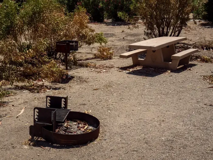 Site 29