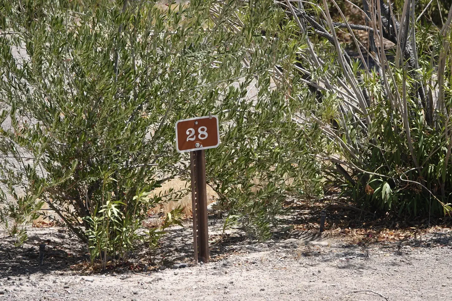 Site 28