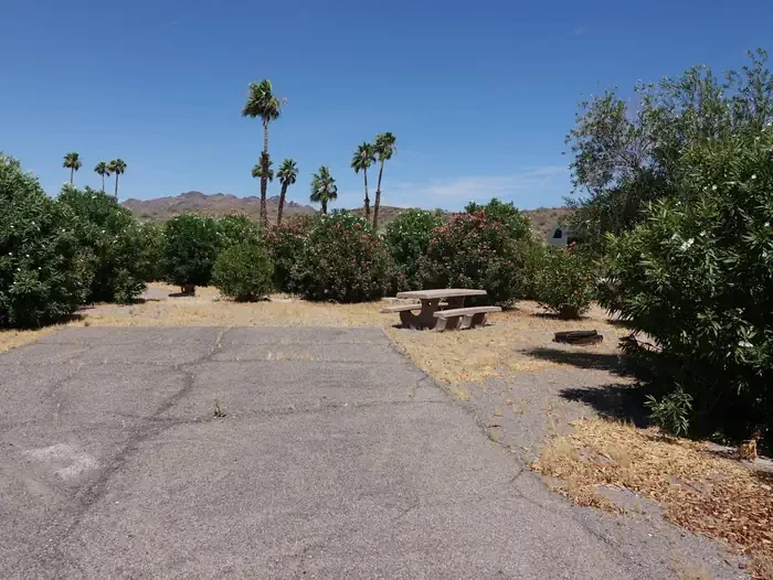 Site 6