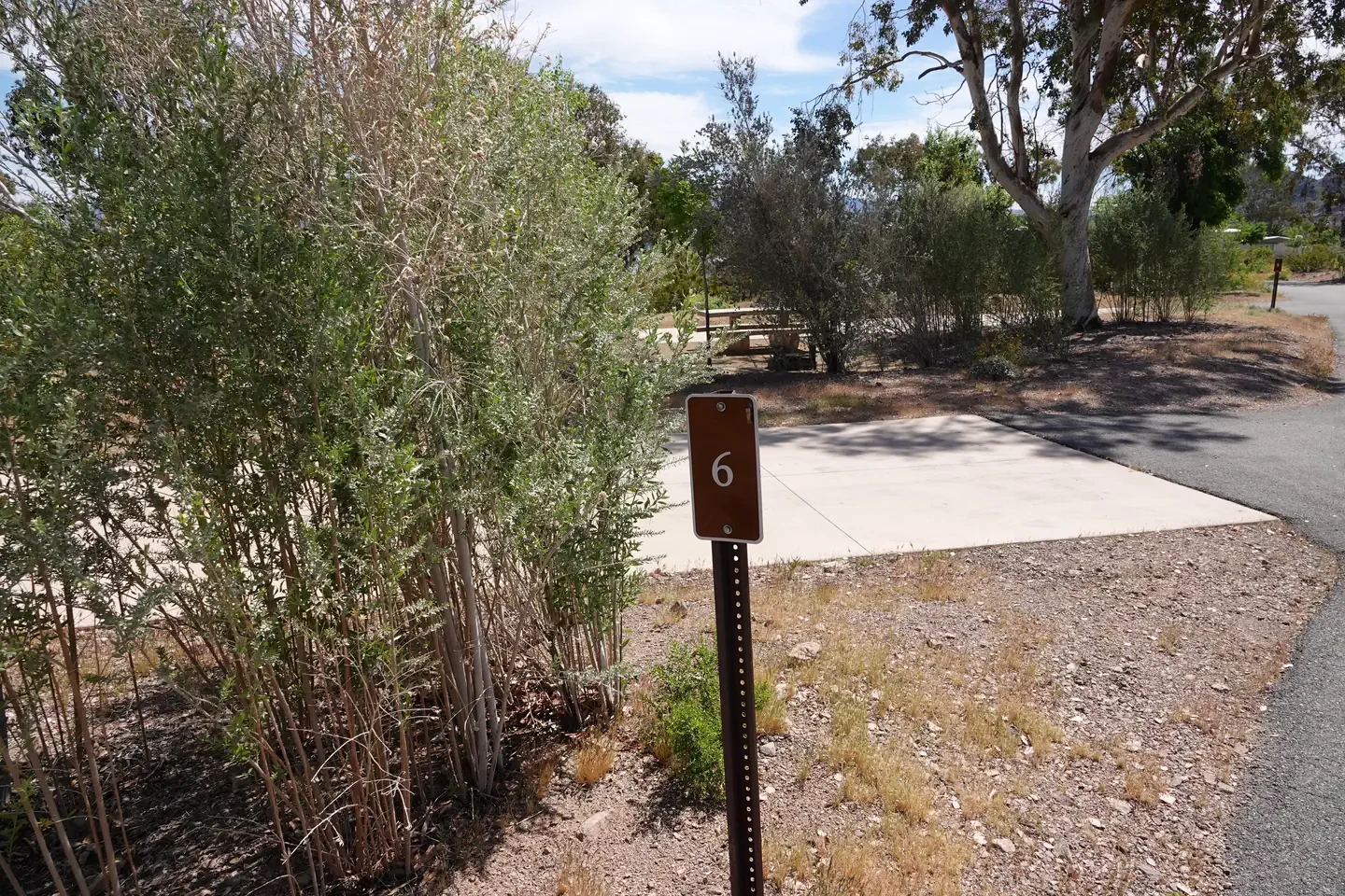 Site 6