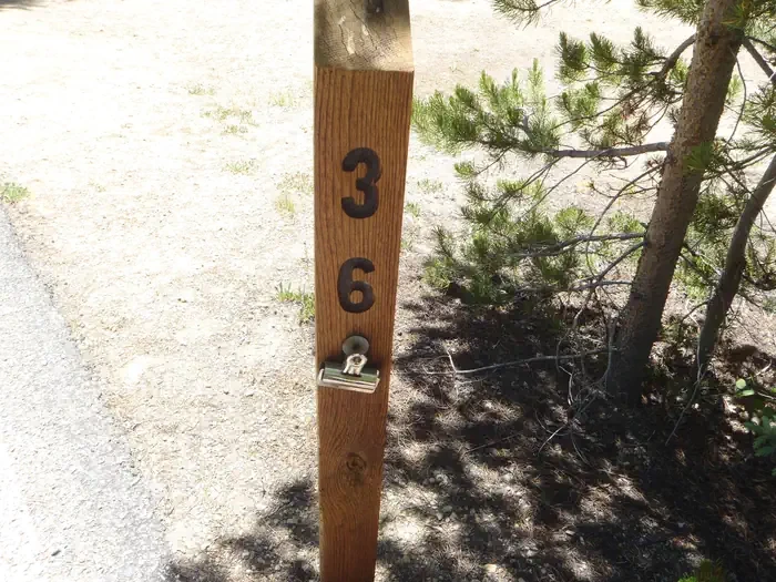 036