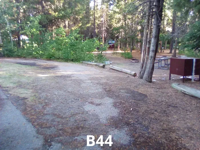 44