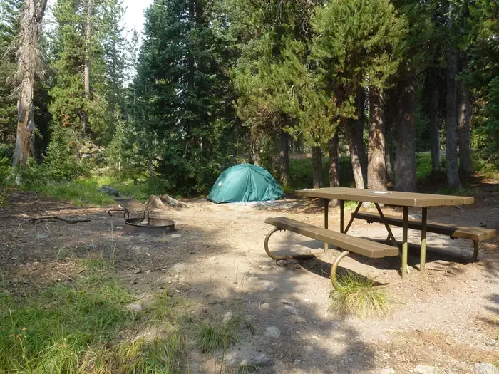 Lewis Lake site #68