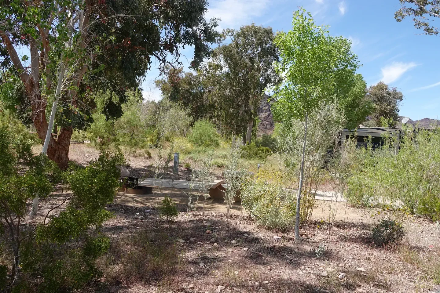 Site 36