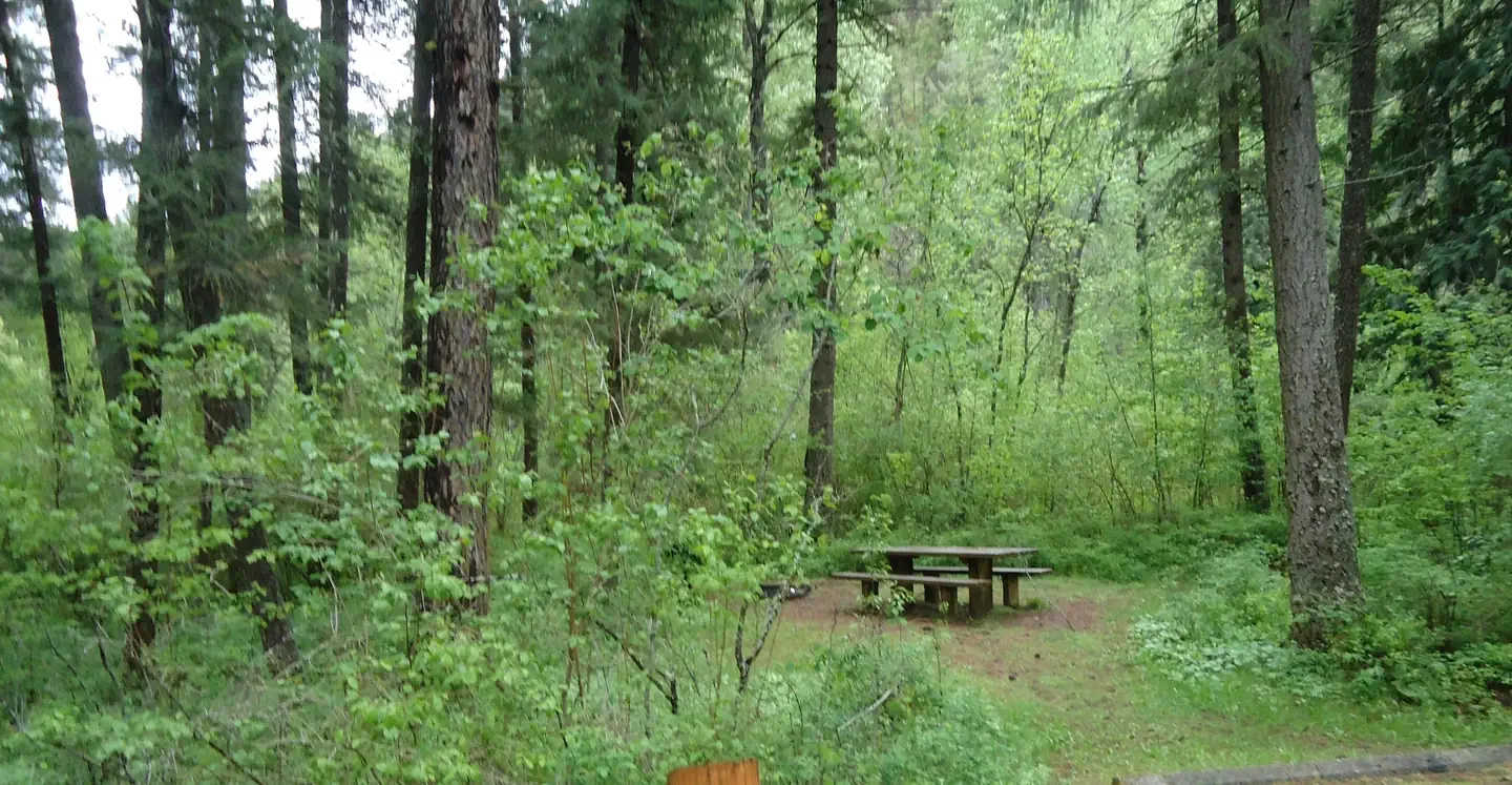 Trout Creek Campground (MT)