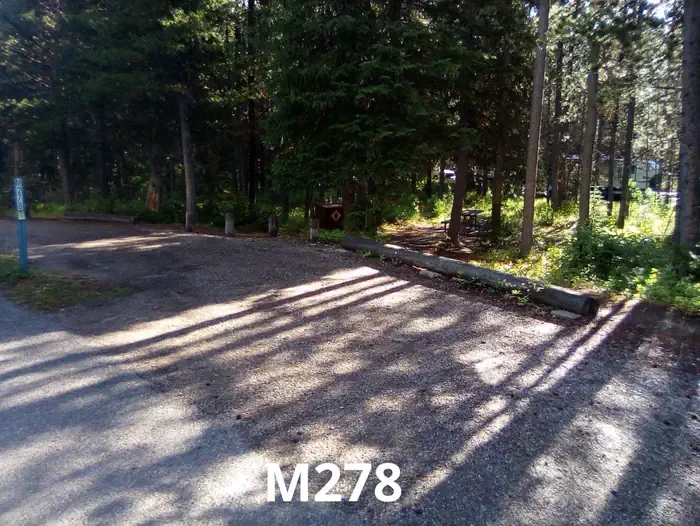 278