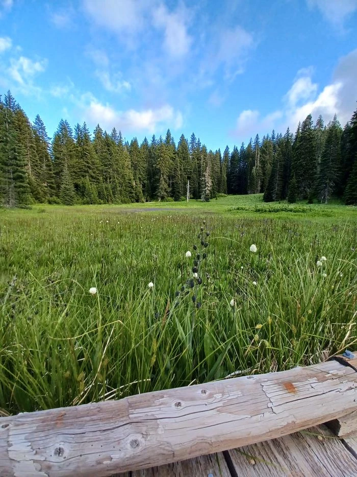 Hemlock Lake Campground
