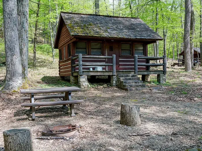 Cabin 47