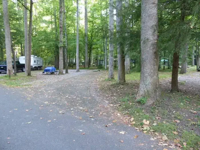 E06