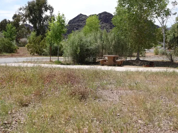 Site 44