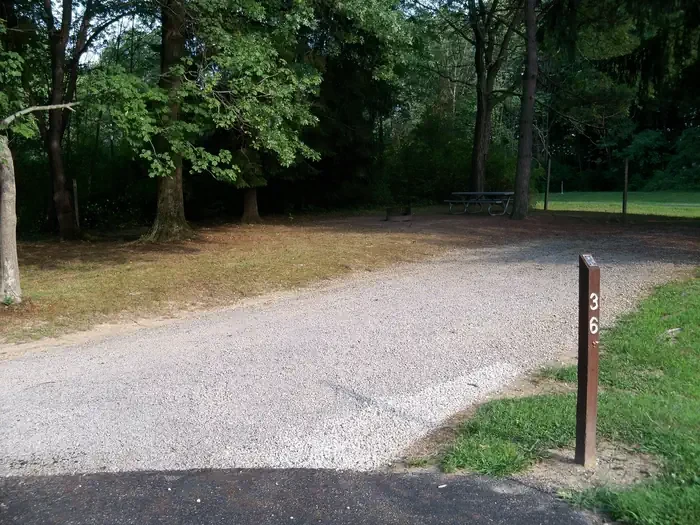H36