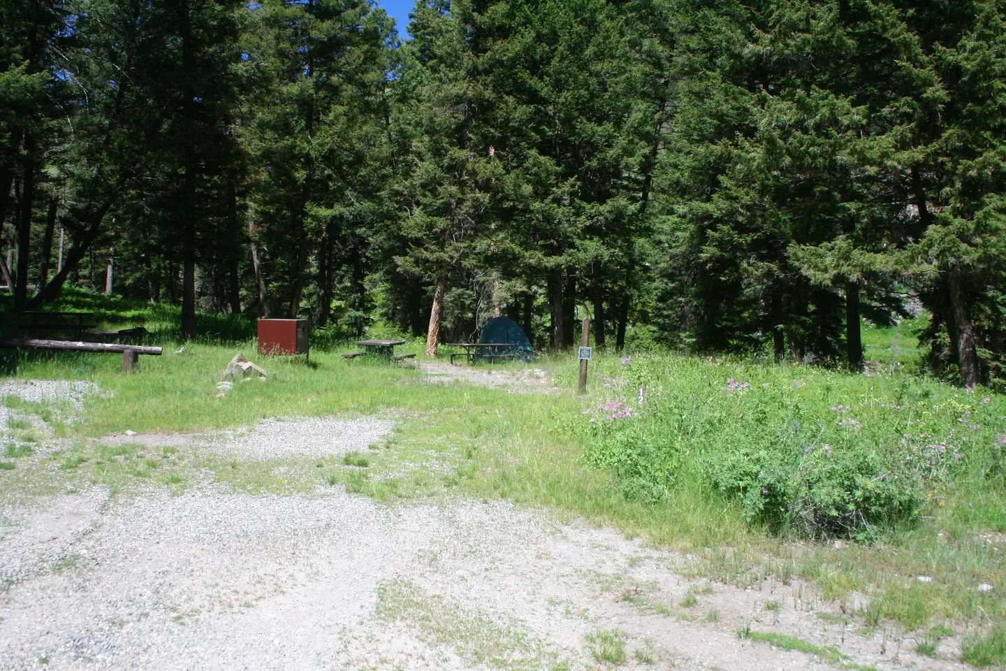 Slough Creek site #12