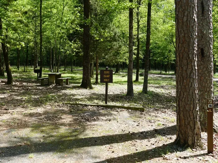 73