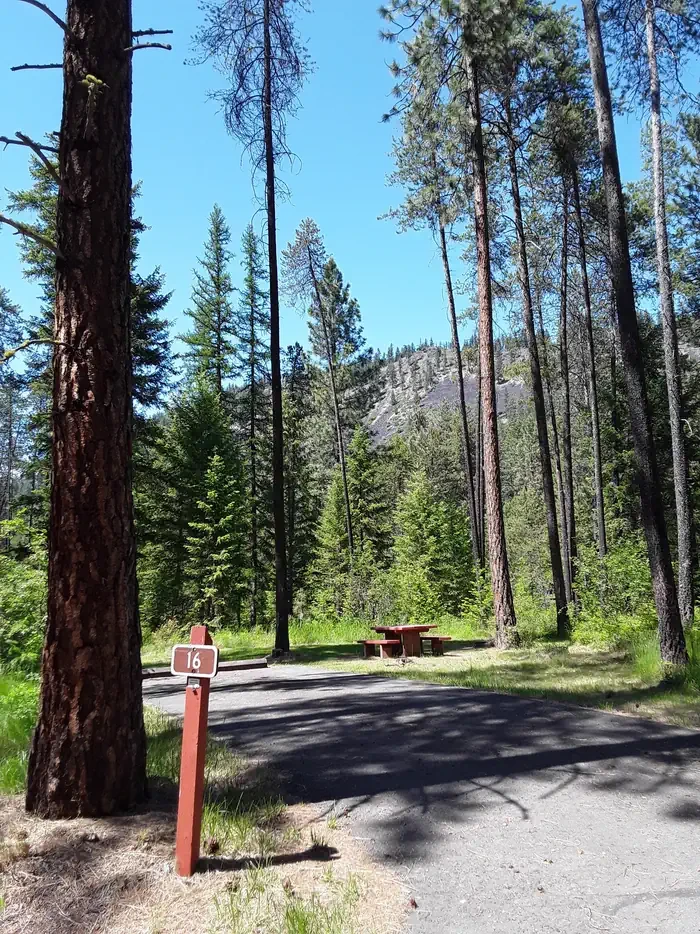 Sloway Campground (MT)