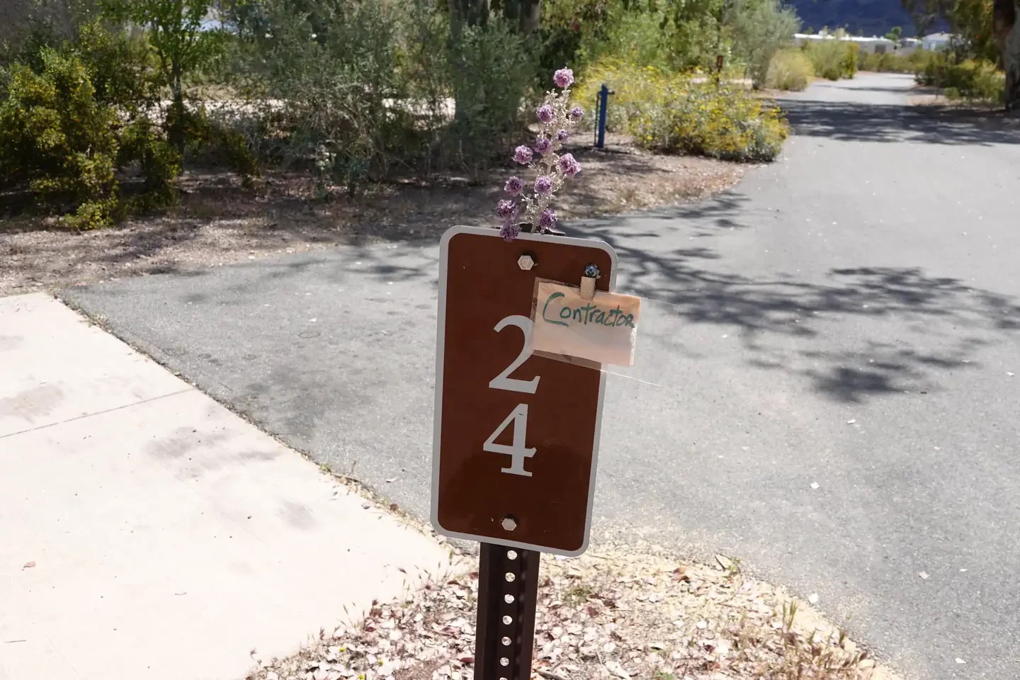 Site 24