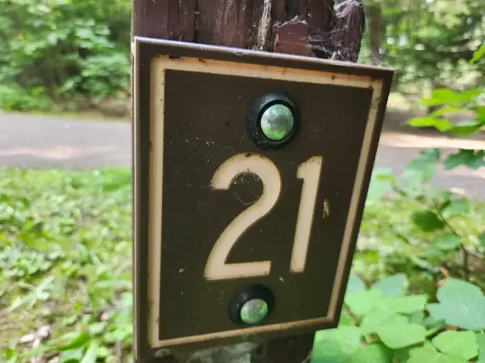 21