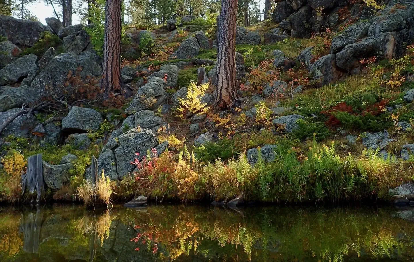 Bismark Lake Campground