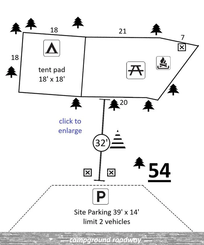 54