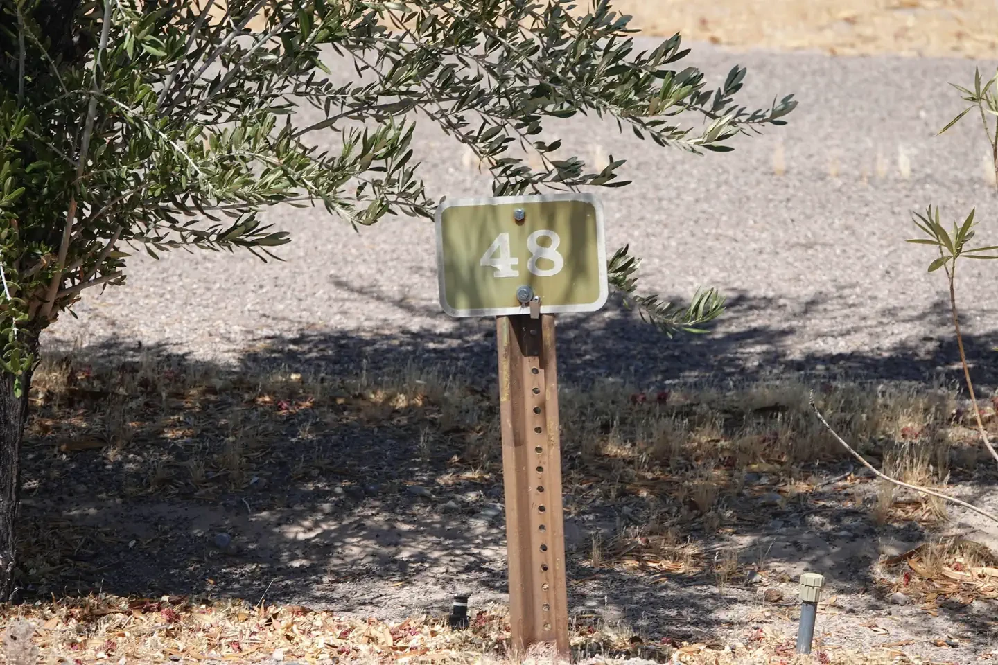 Site 48