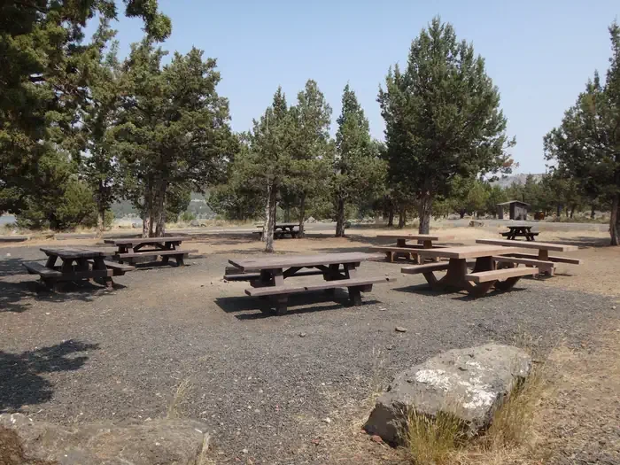 Willow Group Site