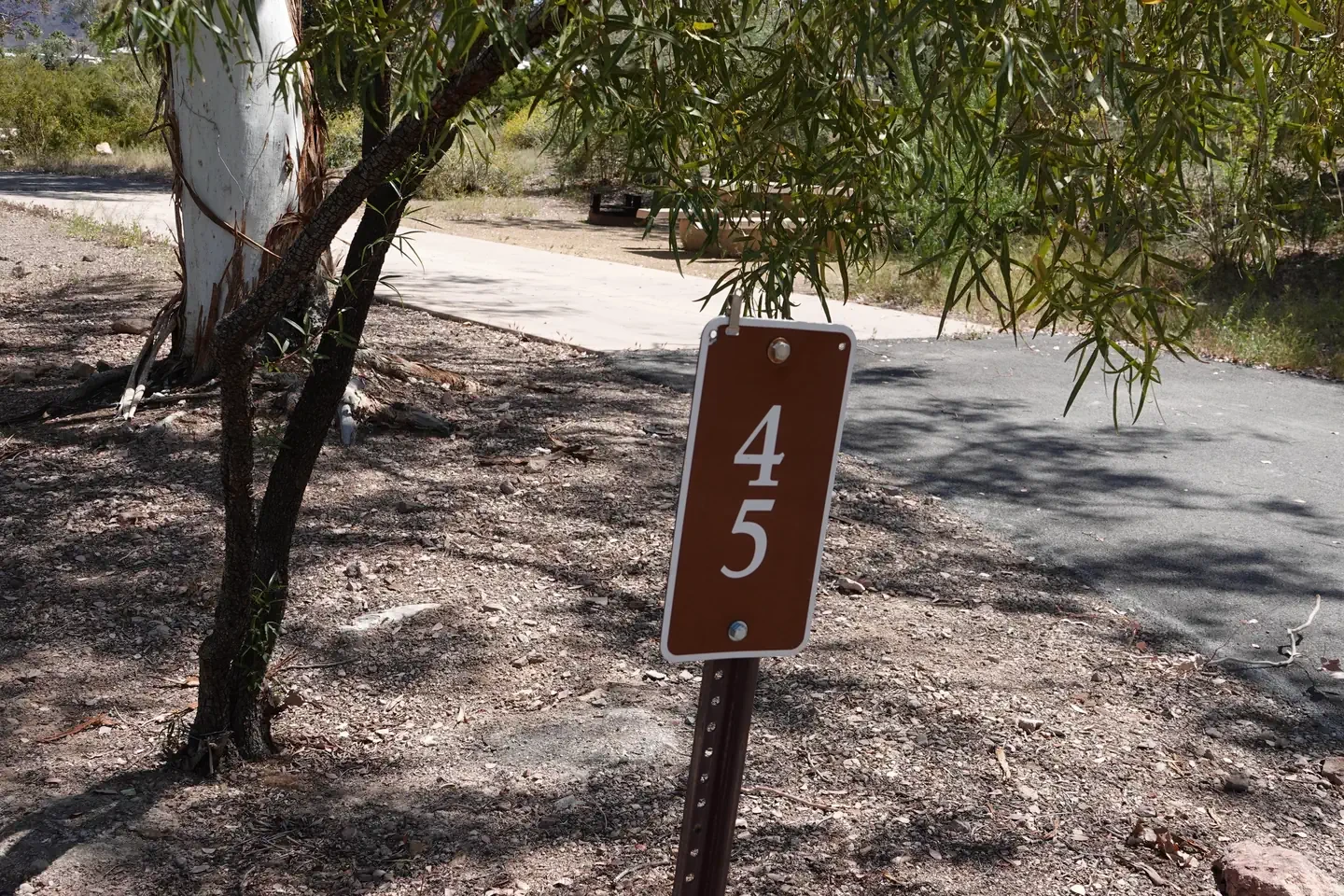 Site 45