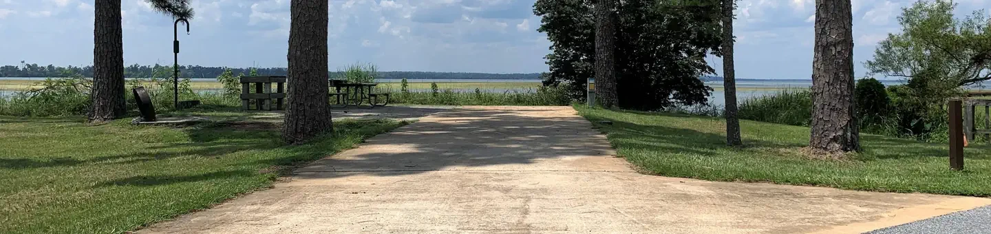 C26