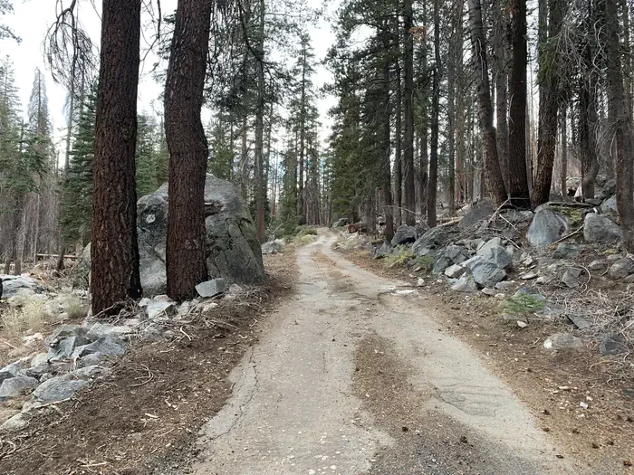 Yosemite Creek Campground