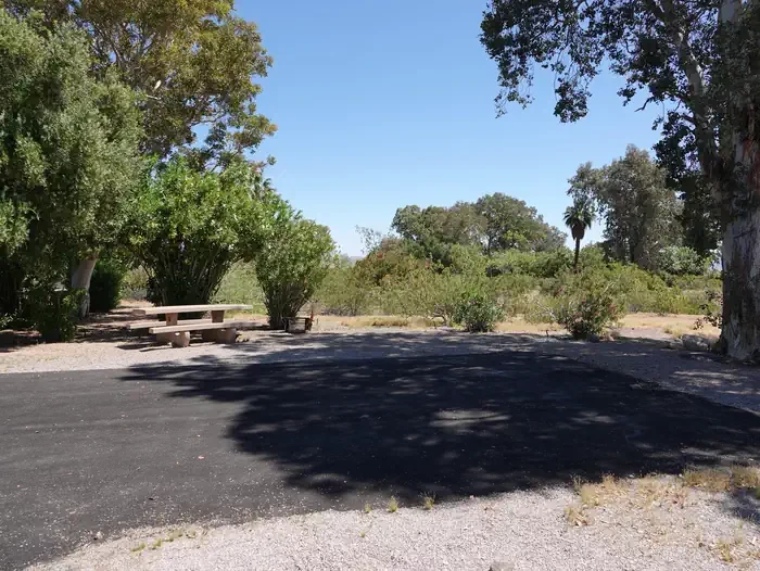 Site 19