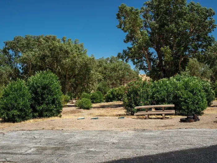 Site 45