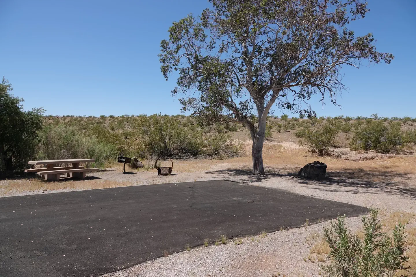 Site 74