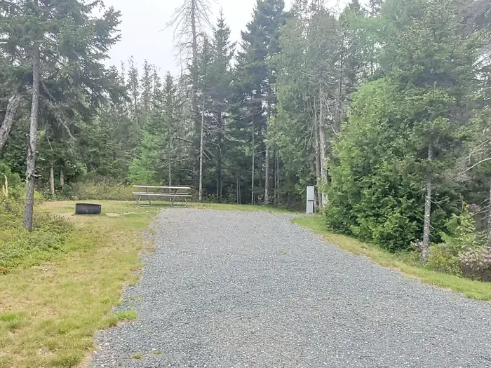 A06