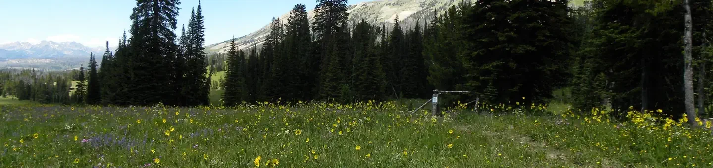 Cabin Creek Cabin