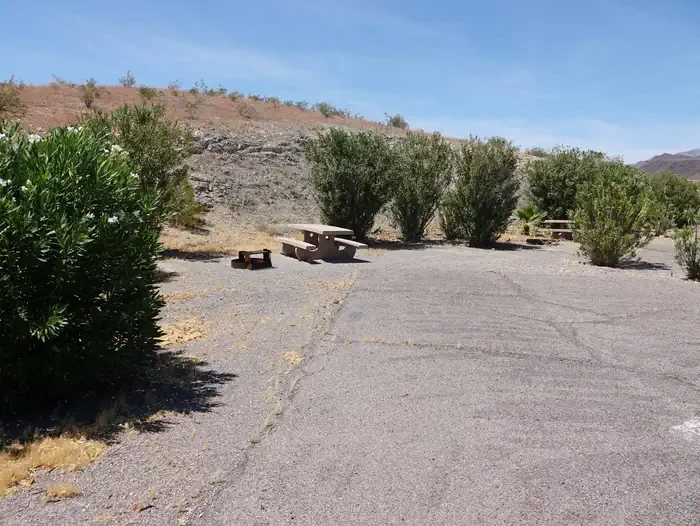 Site 11
