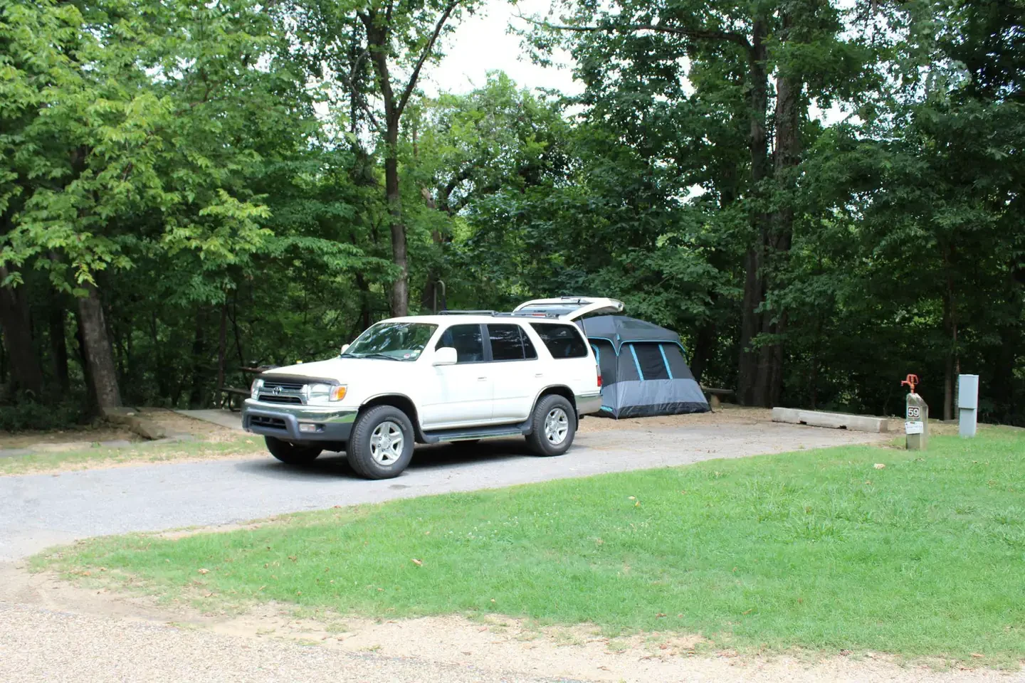 D59