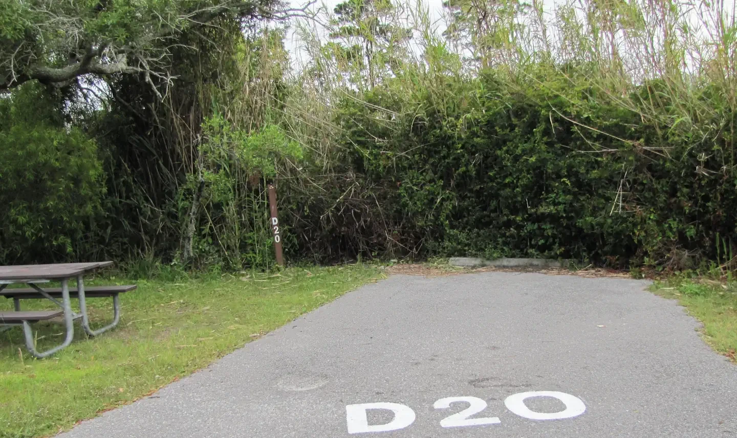 D020